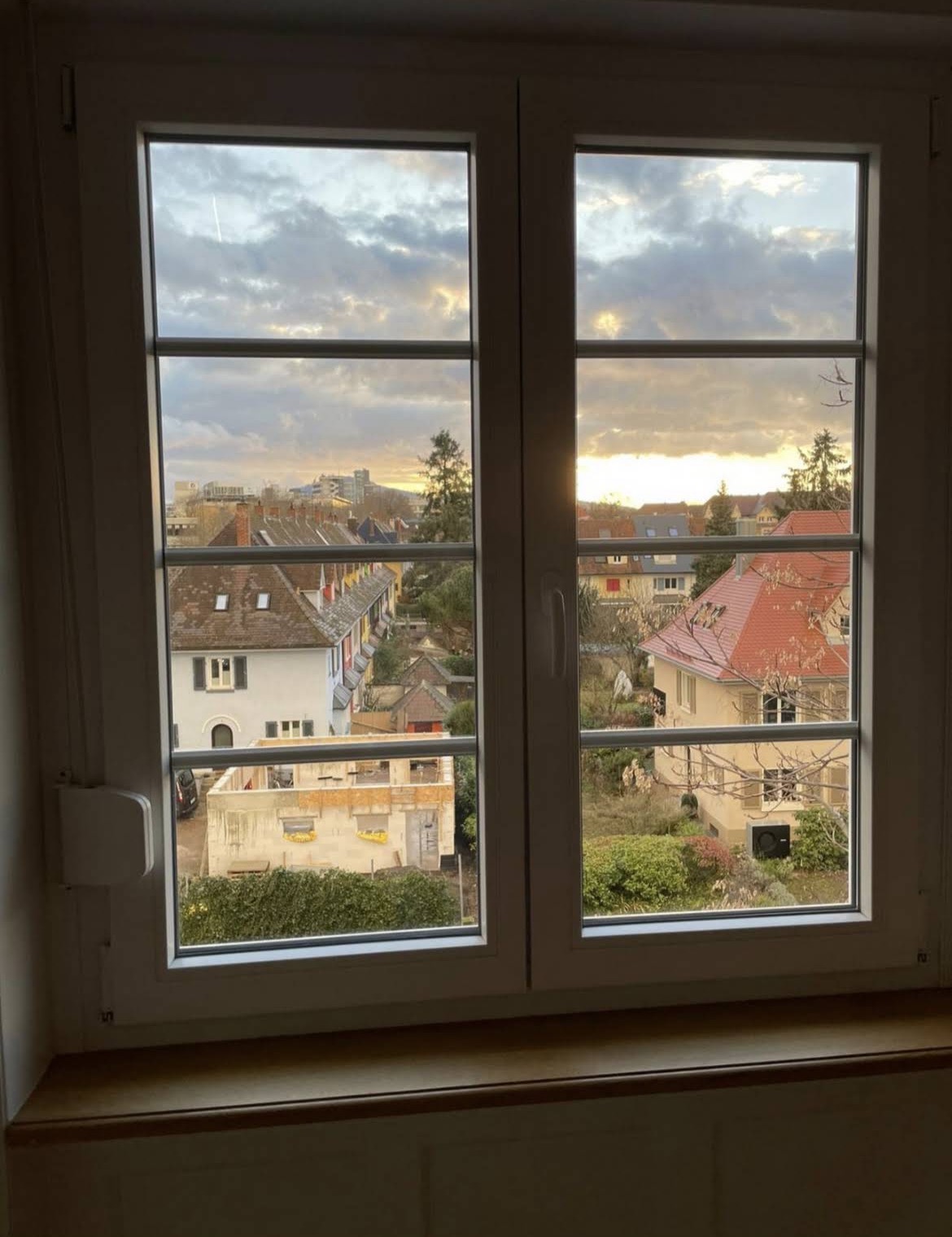 Referenz: Streifenfrei gereinigtes Sprossenfenster mit Ausblick